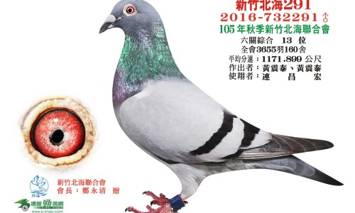 执业中药师挂证长沙网 - 为你提供执业中药师考试科目及内容是什么、执业中药师报名条件