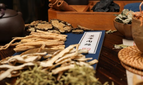执业中药师考试科目-执业中药师挂证长沙网 - 为你提供执业中药师考试科目及内容是什么、执业中药师报名条件
